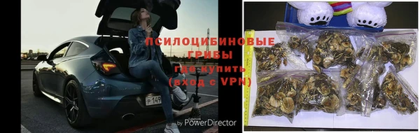 стафф Алексеевка
