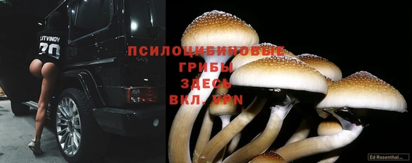 герыч Осинники