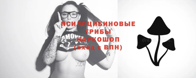 стафф Алексеевка