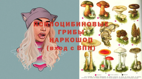 ECSTASY Алексин