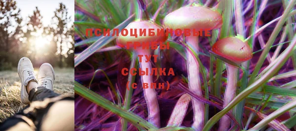 прущая мука Алзамай