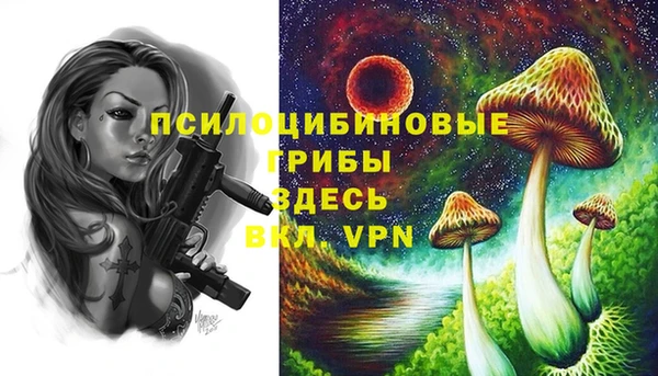 ECSTASY Абдулино