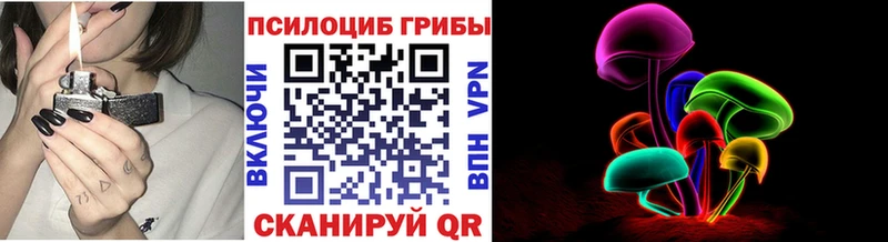 наркошоп  Тавда  Псилоцибиновые грибы MAGIC MUSHROOMS 